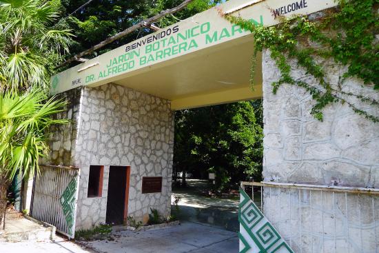 JARDÍN BOTÁNICO DEL DR. ALFREDO BARRERA image