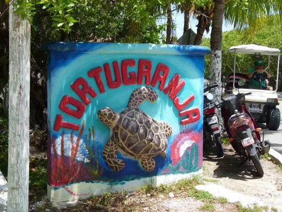 Tortugranja image