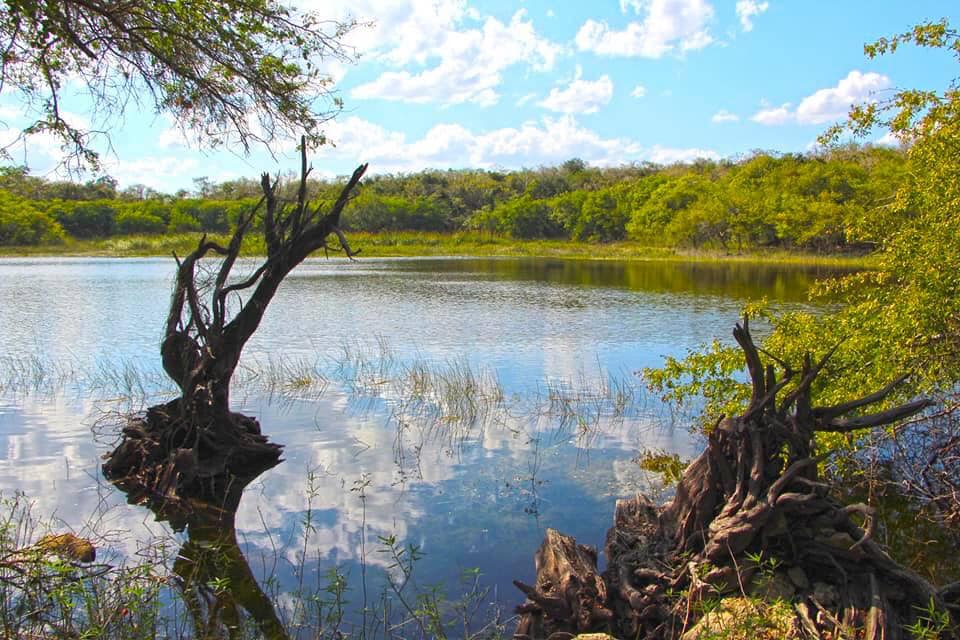 Tres Lagunas Pueblo Escondido El Cedral, Lázaro Cárdenas image