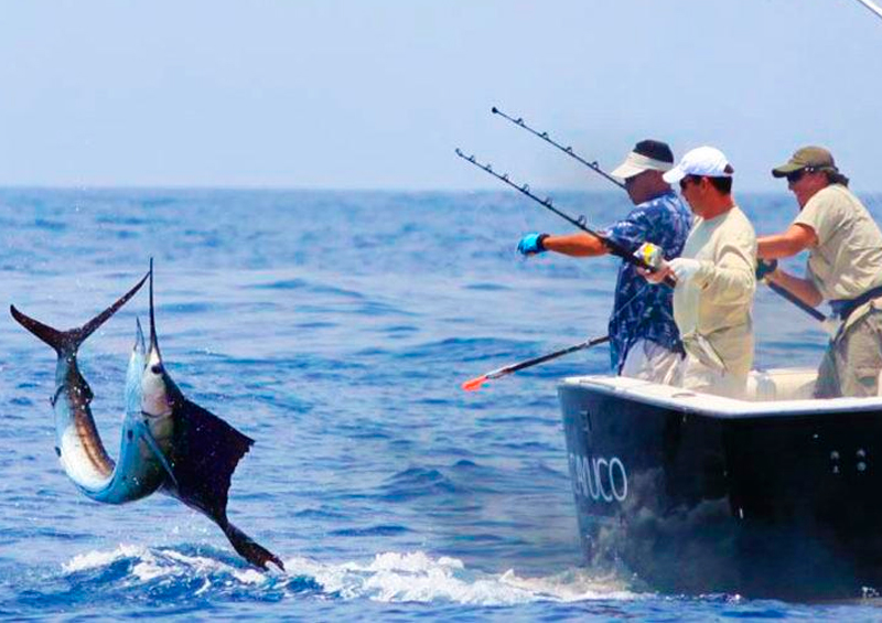 Pesca deportiva image