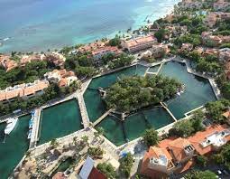 Dolphin Discovery Dreams Puerto Aventuras image