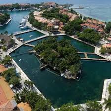 Dolphin Discovery Riviera Maya image