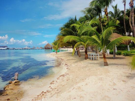 Playa Lancheros image