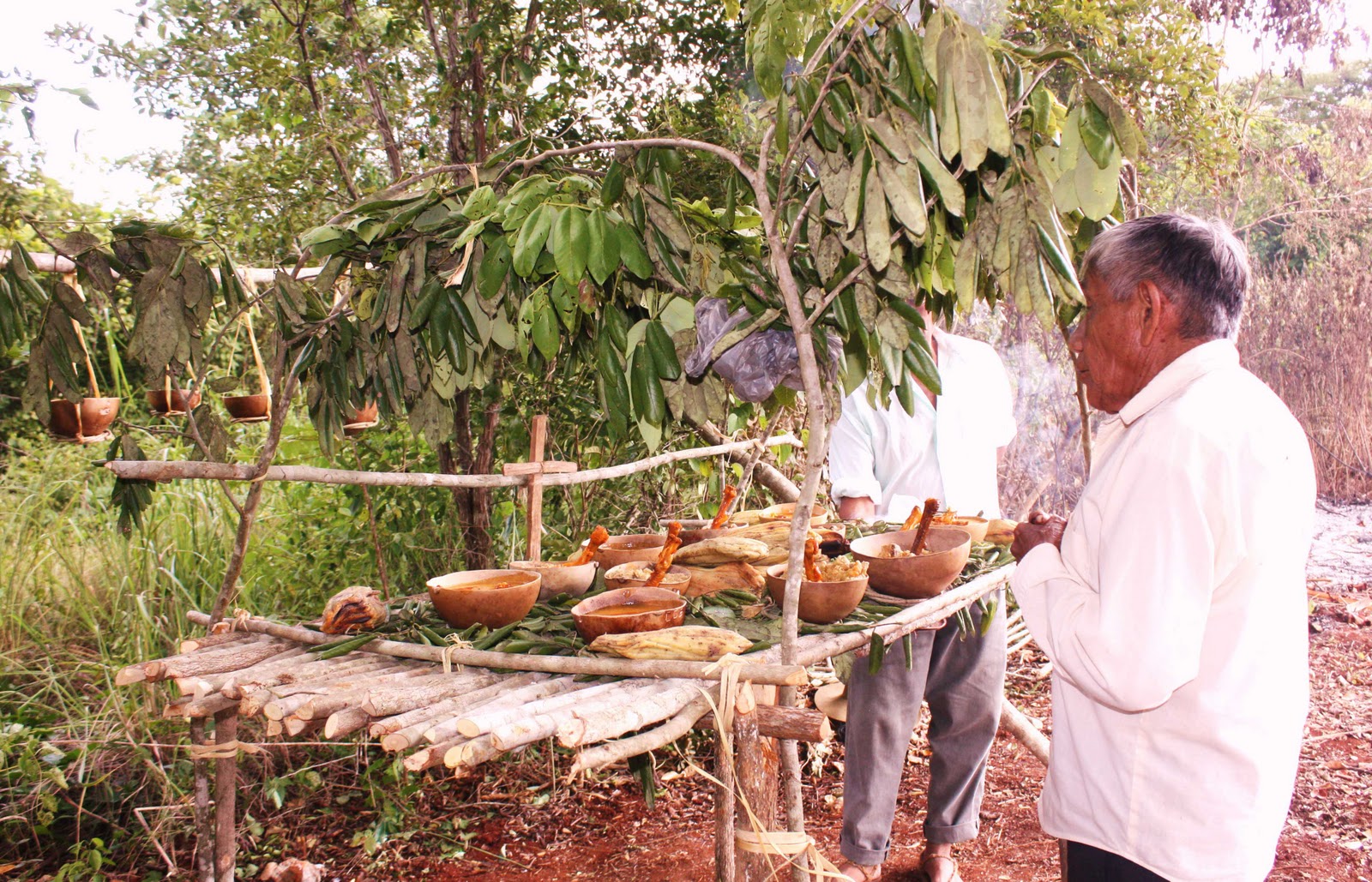 CEREMONIA OFRENDA A LA MILPA EL KOOL image