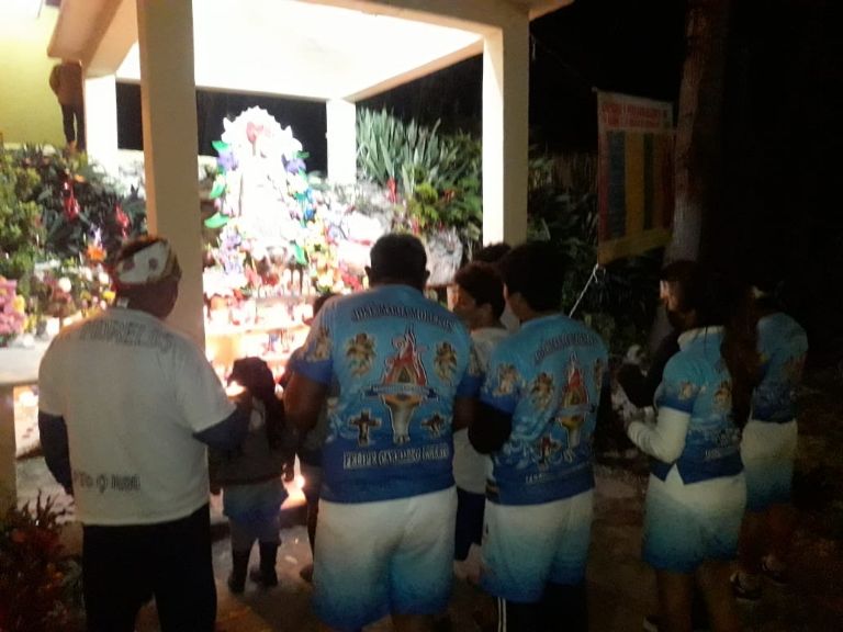 PEREGRINACIONES Y PROCESIONES image