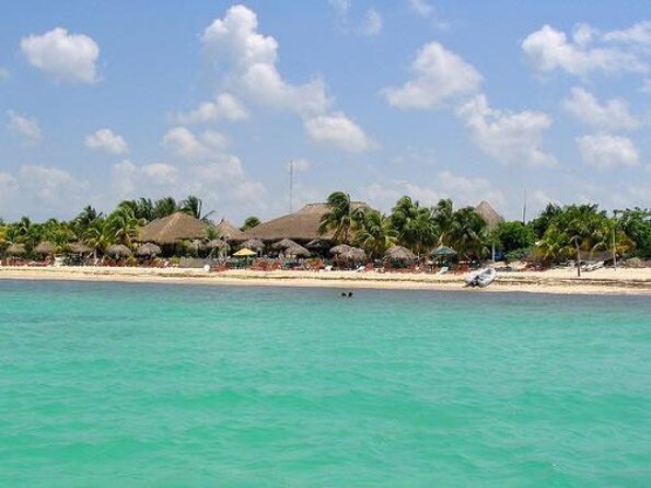 Playa Palancar image