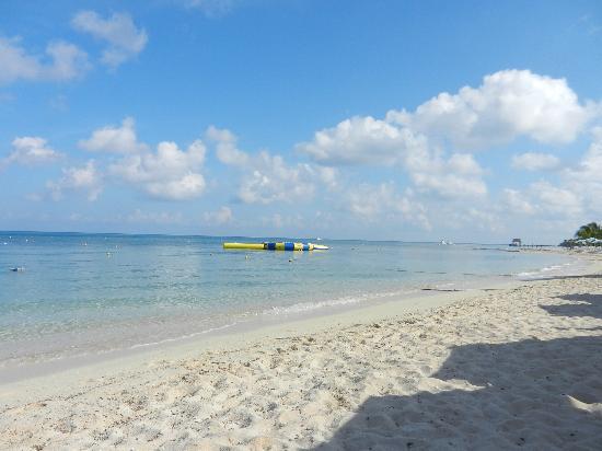 Playa San Francisco image