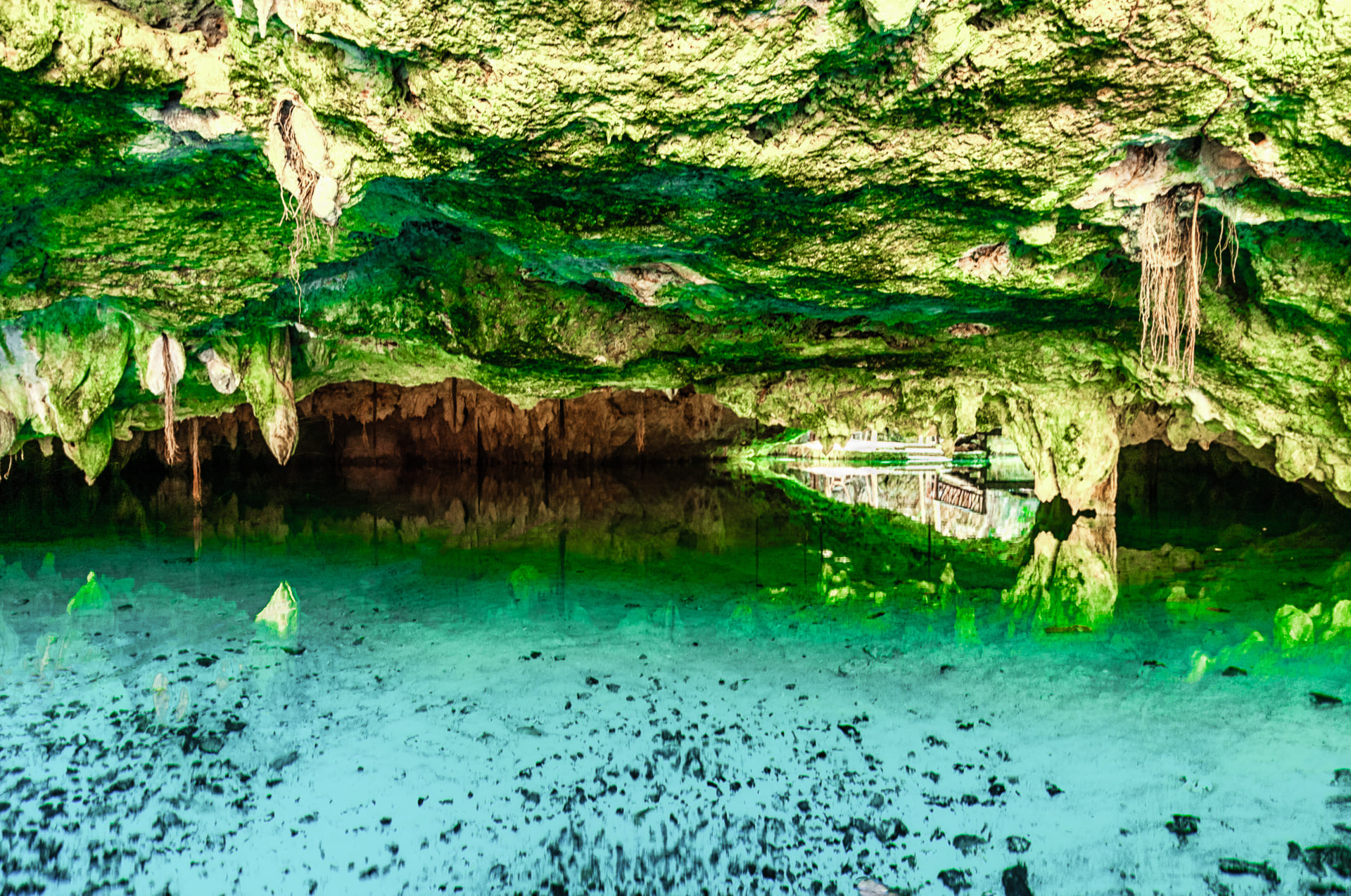 Gran Cenote image