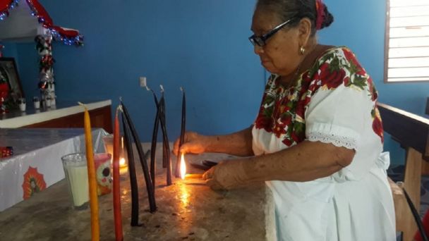 FIESTA DE LA VIRGEN DE GUADALUPE image