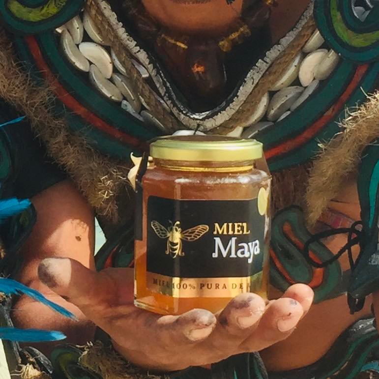 “MIEL MAYA Y CONSERVAS” image