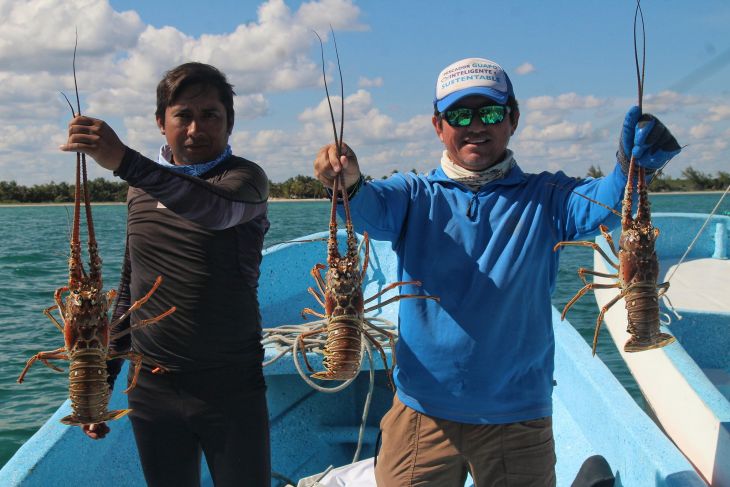 Feria de la Langosta image