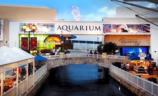 Interactive Aquarium Cancún image