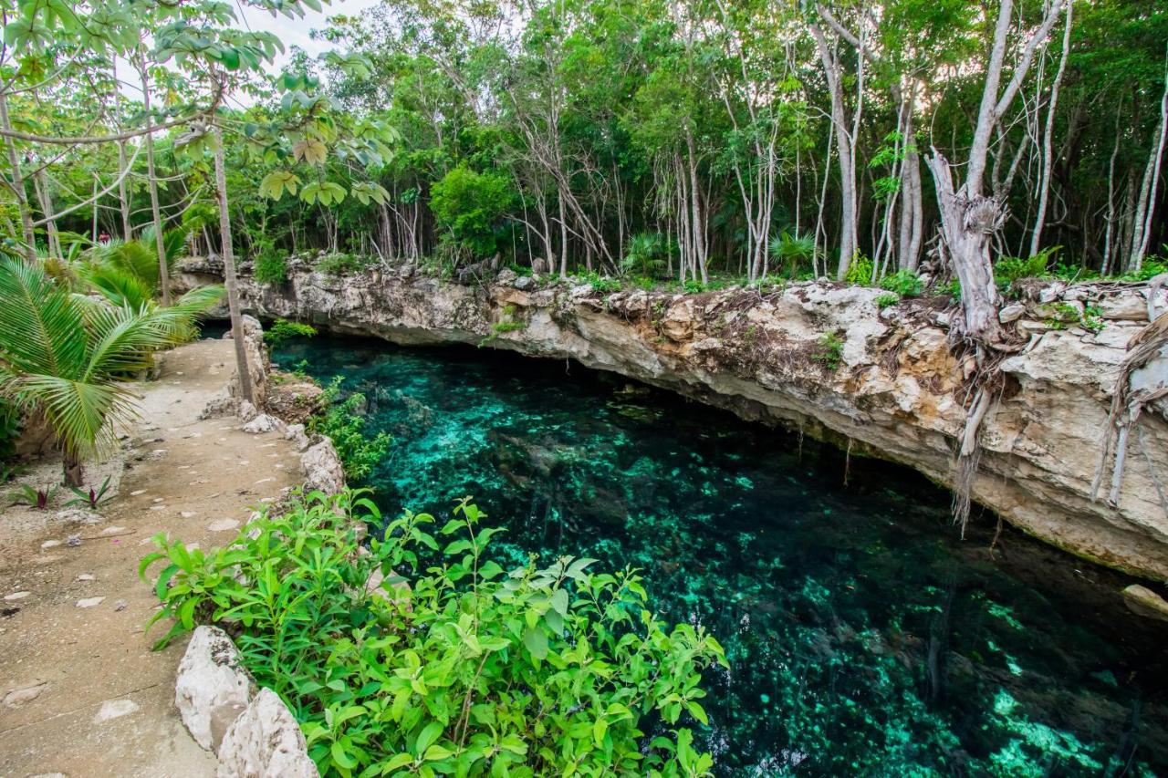 Cenotes Casa Tortuga image