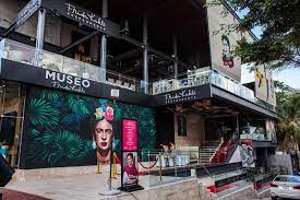 Museo Frida Khalo image