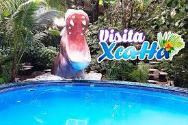 Parque Xca-Ha image