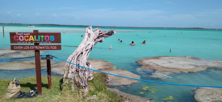 Cenote Cocalitos image