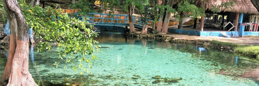 Balneario “El Palmar” image