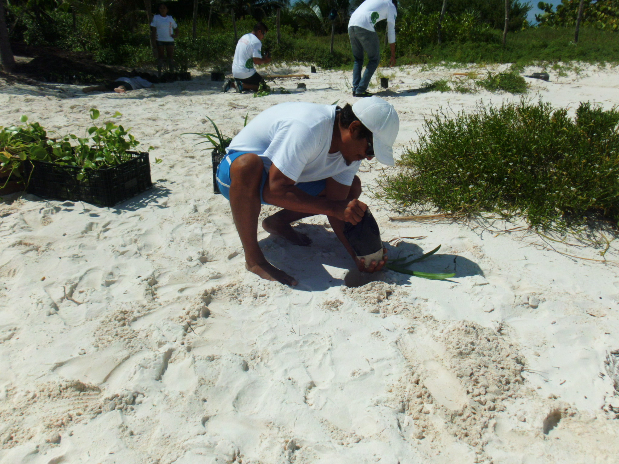PAQUE NACIONAL DE TULUM image