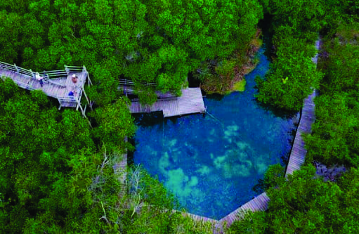 OJO DE AGUA YALAHAU image