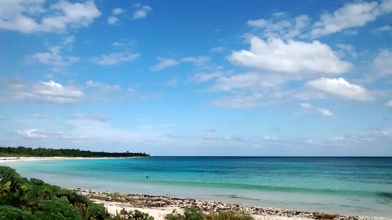 SANTUARIO DE LA TORTUGA MARINA XCACEL-XCACELITO image