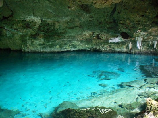 CENOTE SIETE BOCAS image