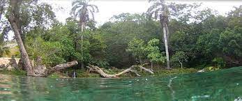 Manantial “El estanque” image