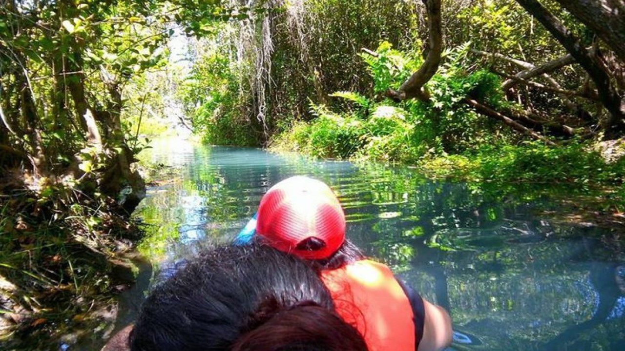 Arroyo El Creek image