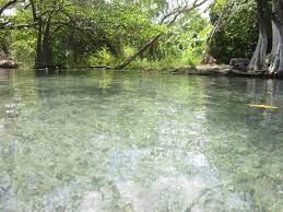 Cenote El Pedregal image