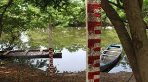 Laguna “Revolución” image